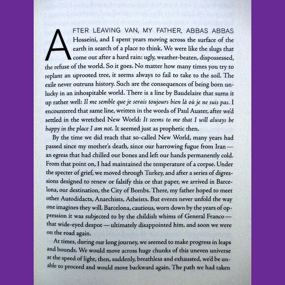 Book - Call Me Zebra: A Novel, by Azareen Van der Vliet Oloomi - Picture 10 of 14